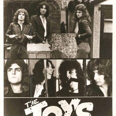 1977 / Age 18 / The Toys (1976-77)